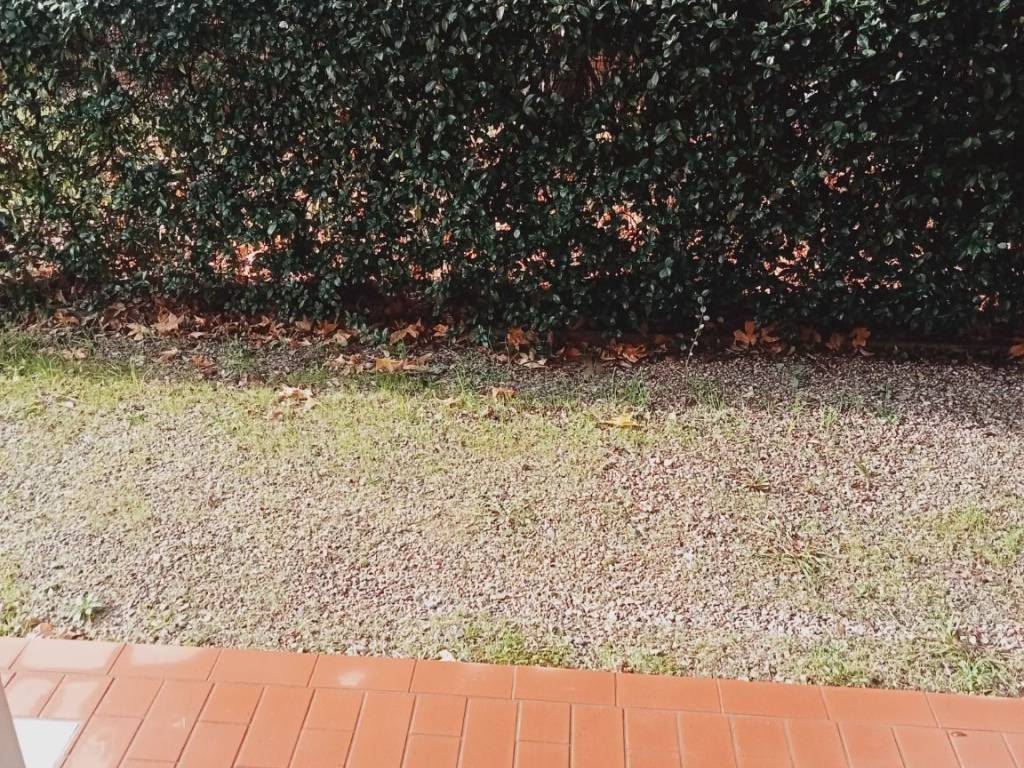 Appartamento a Monsummano terme - Foto 2