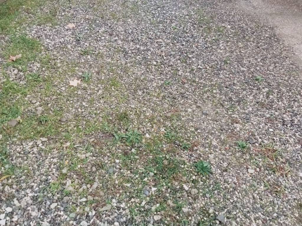 Appartamento a Monsummano terme - Foto 3