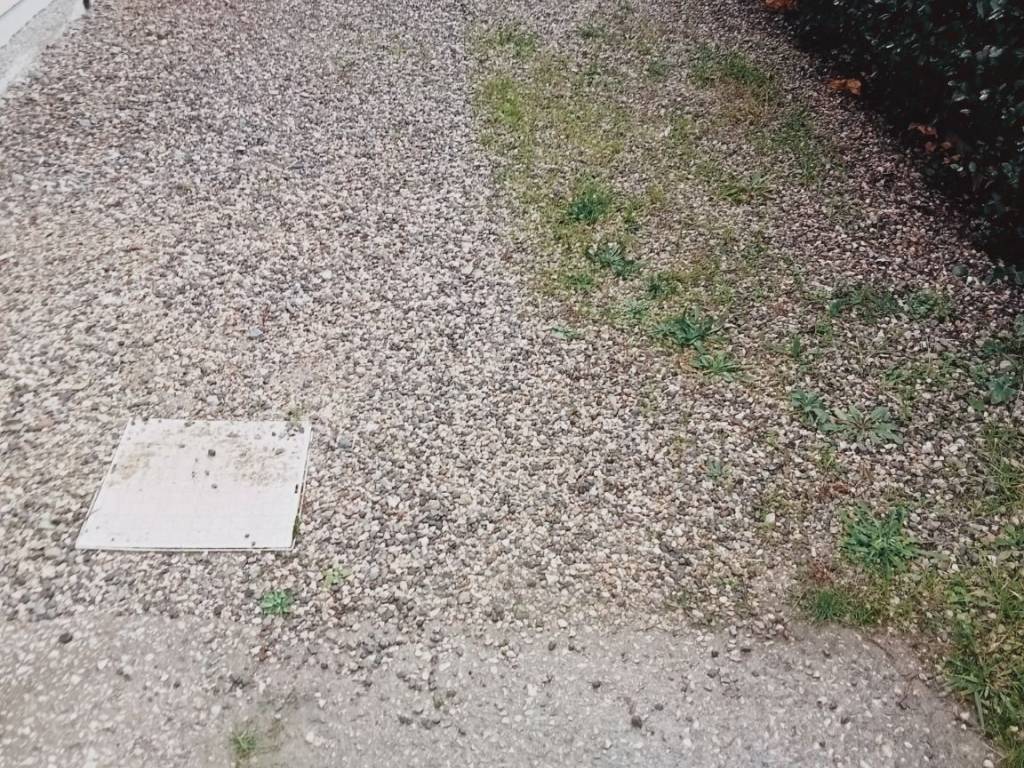Appartamento a Monsummano terme - Foto 4