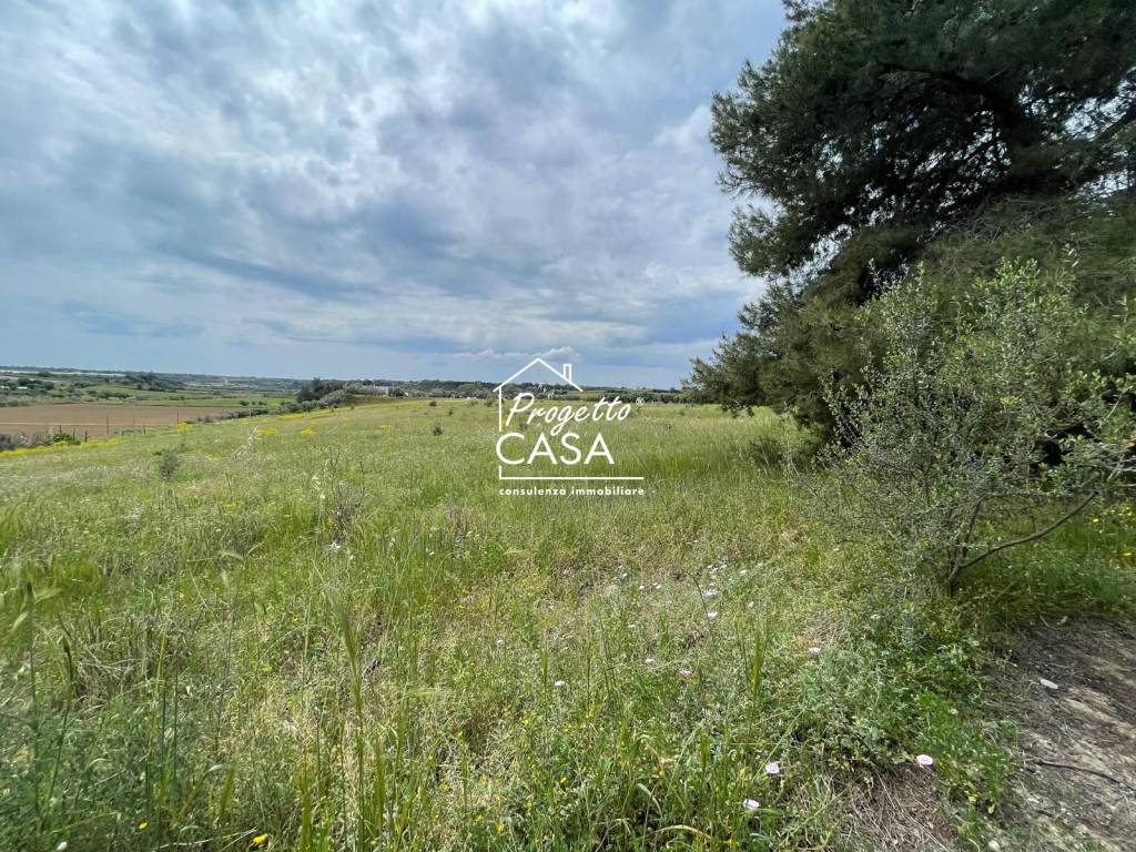 Rustico / casale a Ginosa in contrada casone - Foto 3