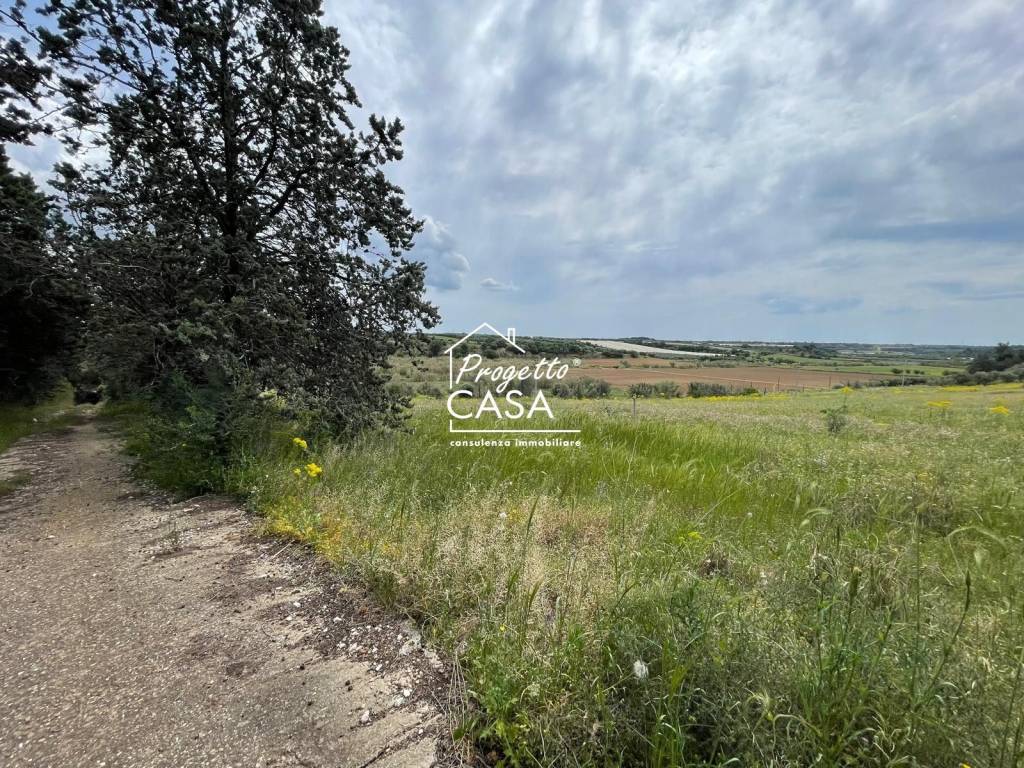 Rustico / casale a Ginosa in contrada casone - Foto 4