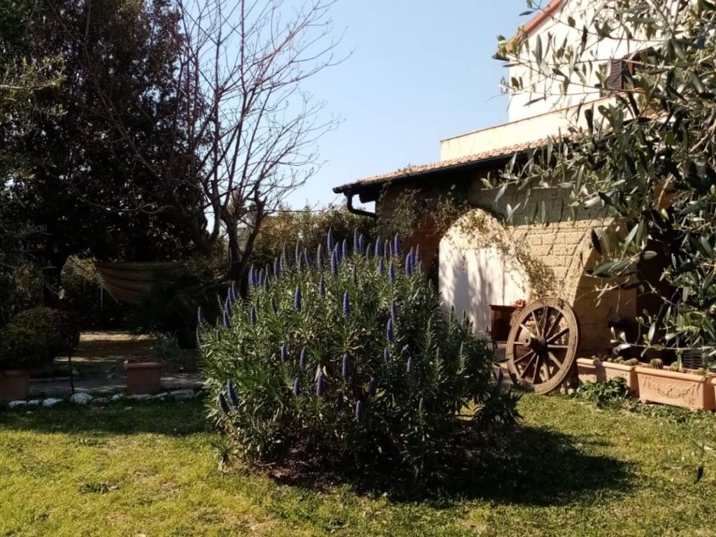 Villa a Piombino in Località Carbonifera - Foto 4