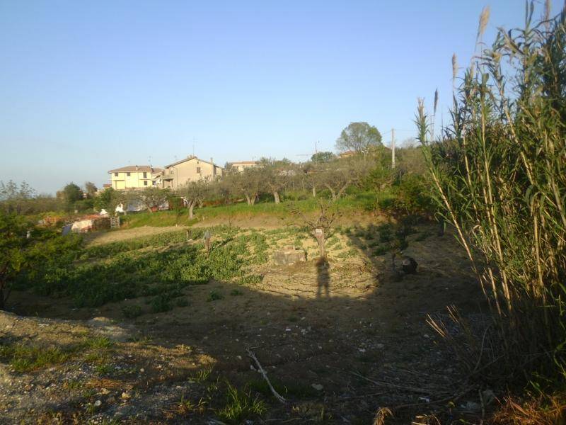 Terreno a Cupello - Foto 5