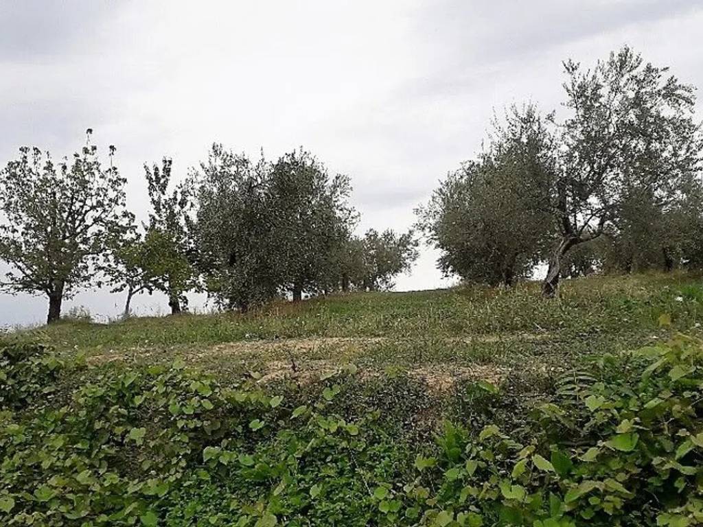 Terreno a Basciano in Via Della Madonnina, 36 - Foto 2