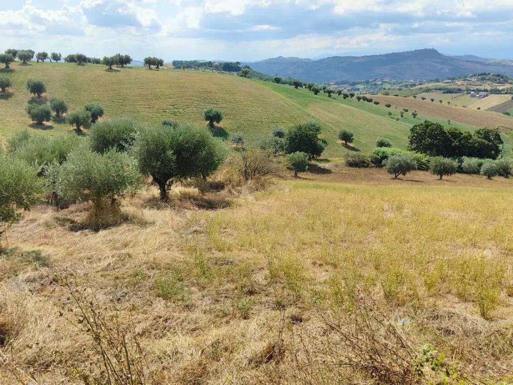 Terreno a Bellante in Via Colle Izzano - Foto 4