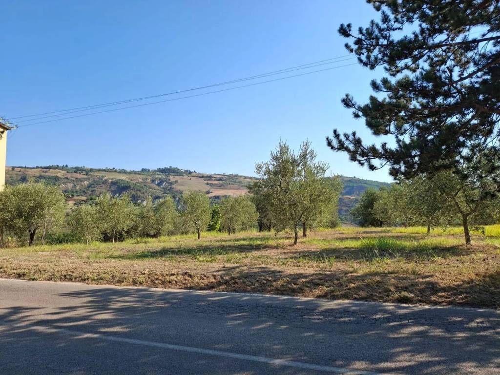 Terreno a Montefino in Case Sparse S.N.C. - Foto 3