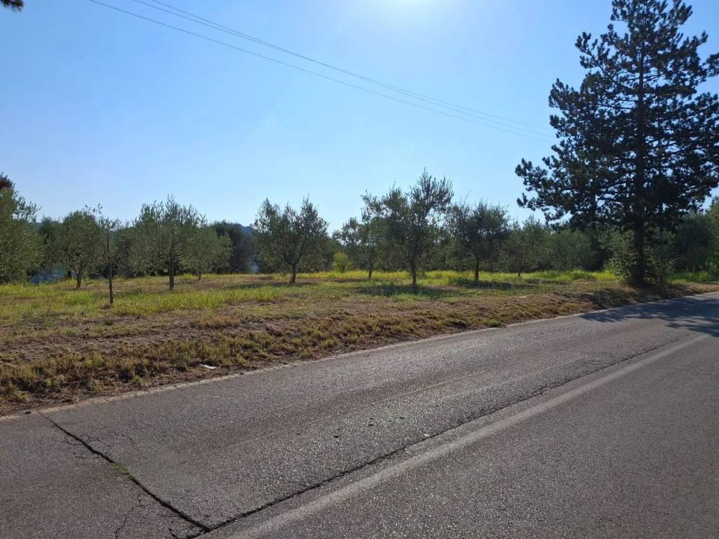 Terreno a Montefino in Case Sparse S.N.C. - Foto 5