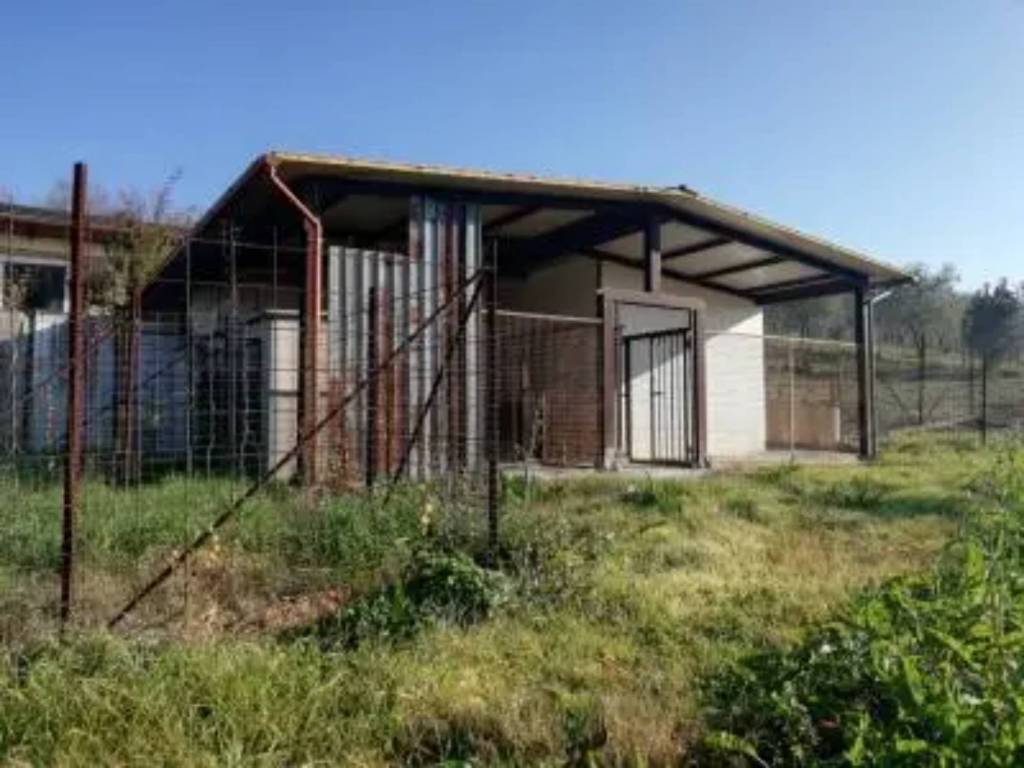 Casa indipendente a Caiazzo in Strada Vicinale Cozzi - Foto 2