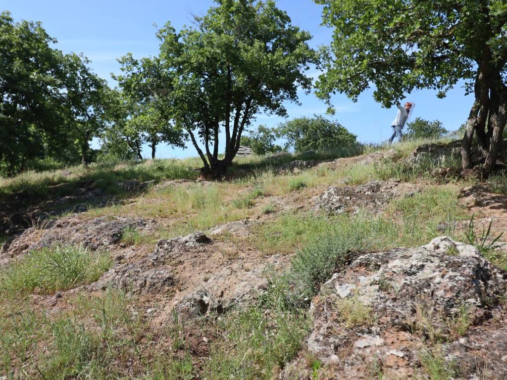 Terreno a Vetralla in località Dogane - Foto 5