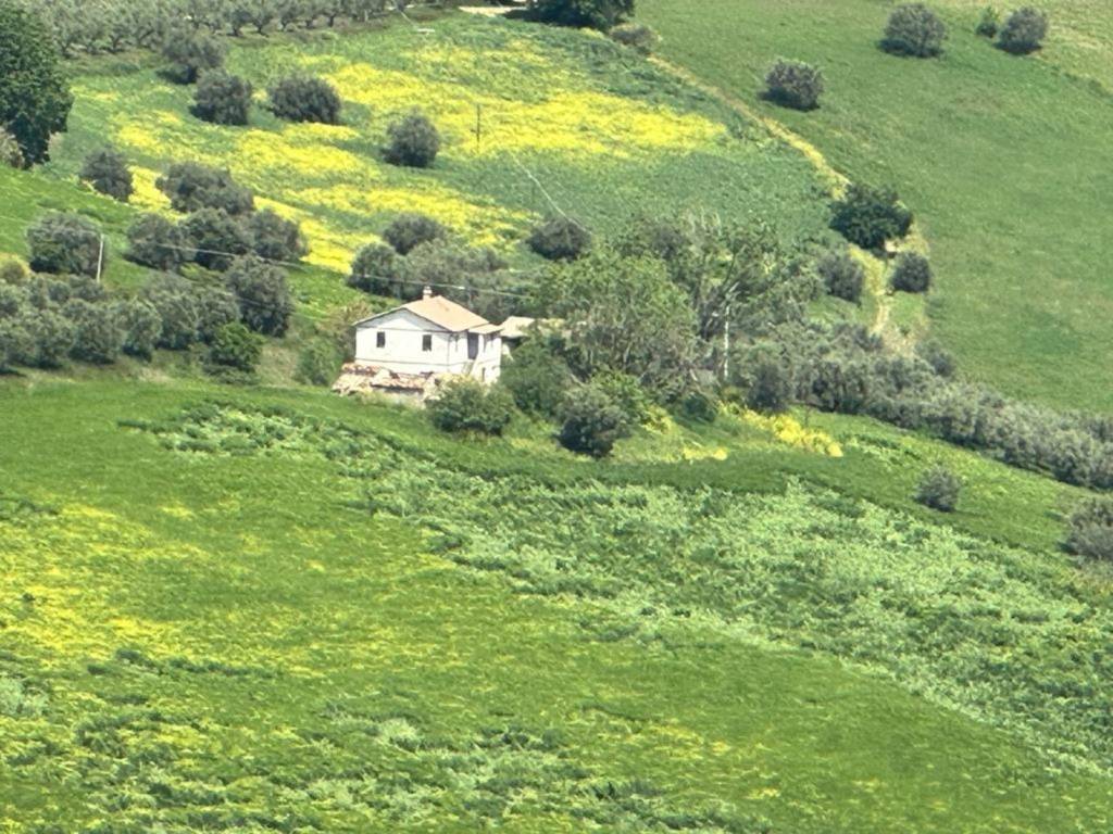 immagine di copertina