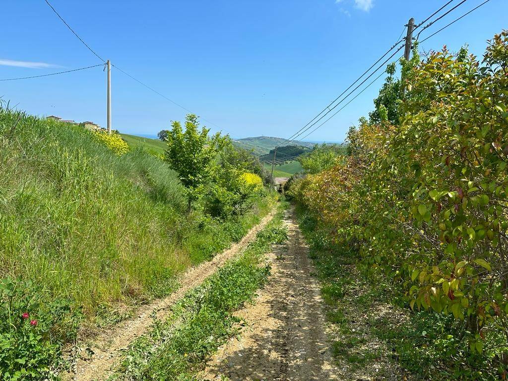 Rustico / casale a Atri in Contrada Cagno, 20 - Foto 2