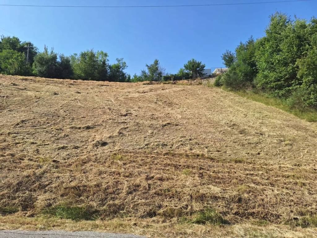 Terreno a Torricella sicura in Colle Fiorito S.N.C. - Foto 3