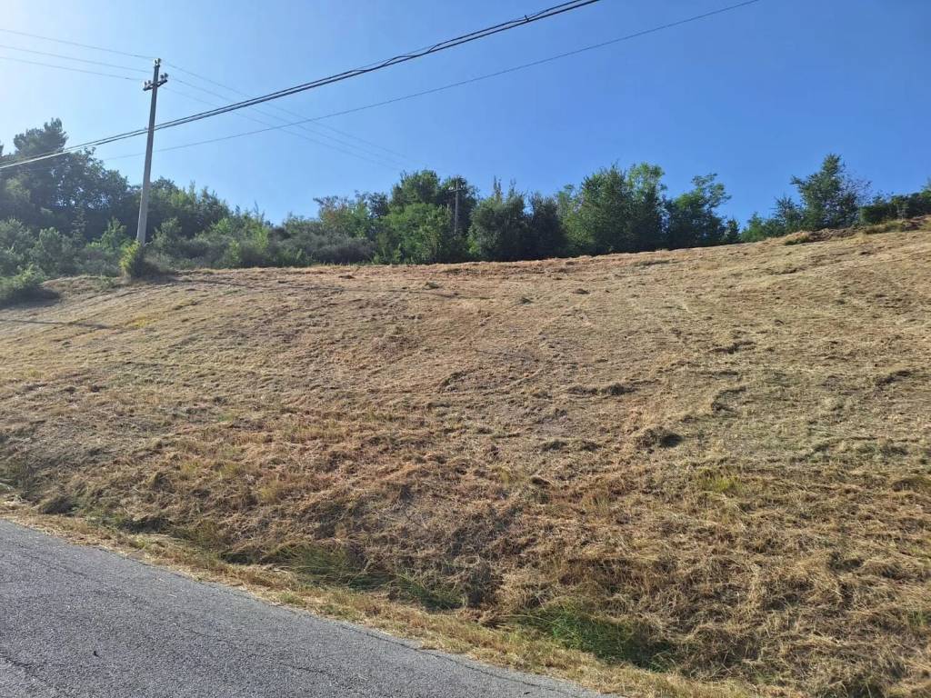 Terreno a Torricella sicura in Colle Fiorito S.N.C. - Foto 4