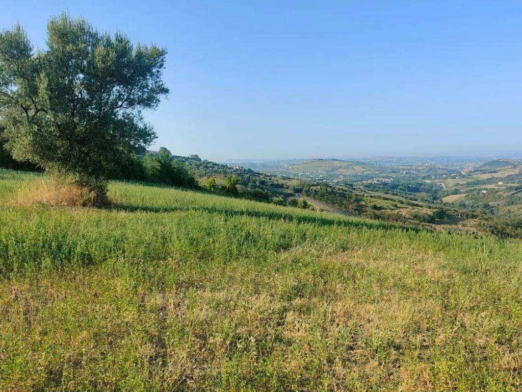 Terreno a Campli in Piancarani S.N.C. - Foto 2
