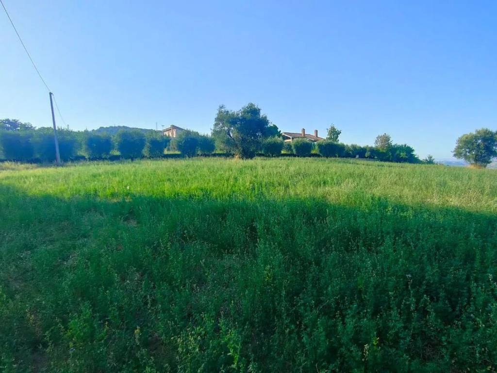 Terreno a Campli in Piancarani S.N.C. - Foto 4