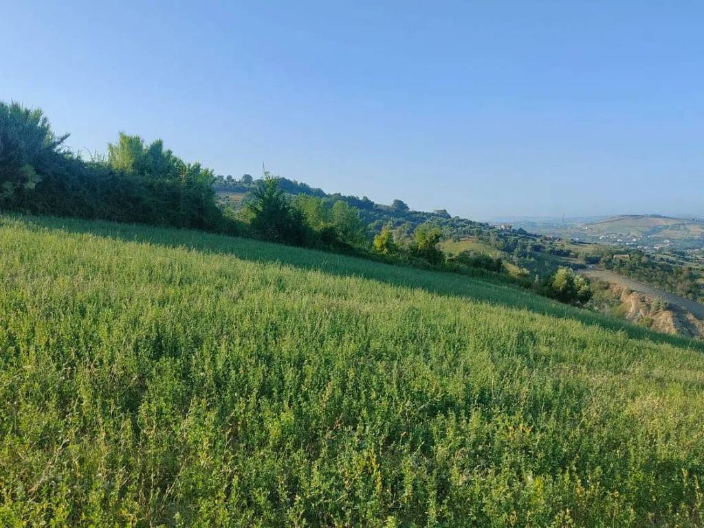 Terreno a Campli in Piancarani S.N.C. - Foto 5