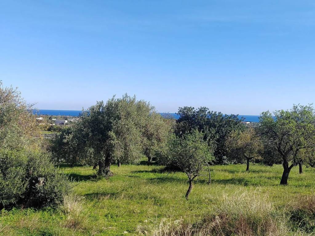 Terreno a Avola in Strada Statale 115 S.N.C. - Foto 2