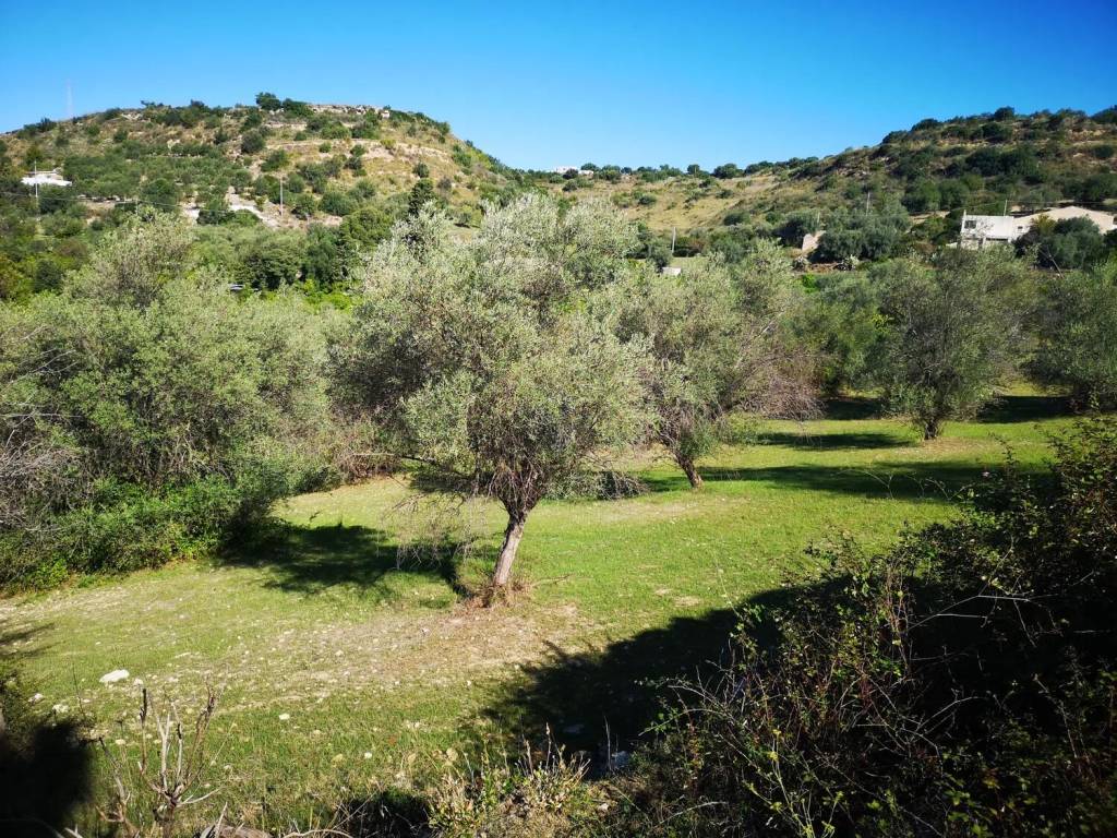 Terreno a Avola in Contrada Bochini S.N.C. - Foto 4
