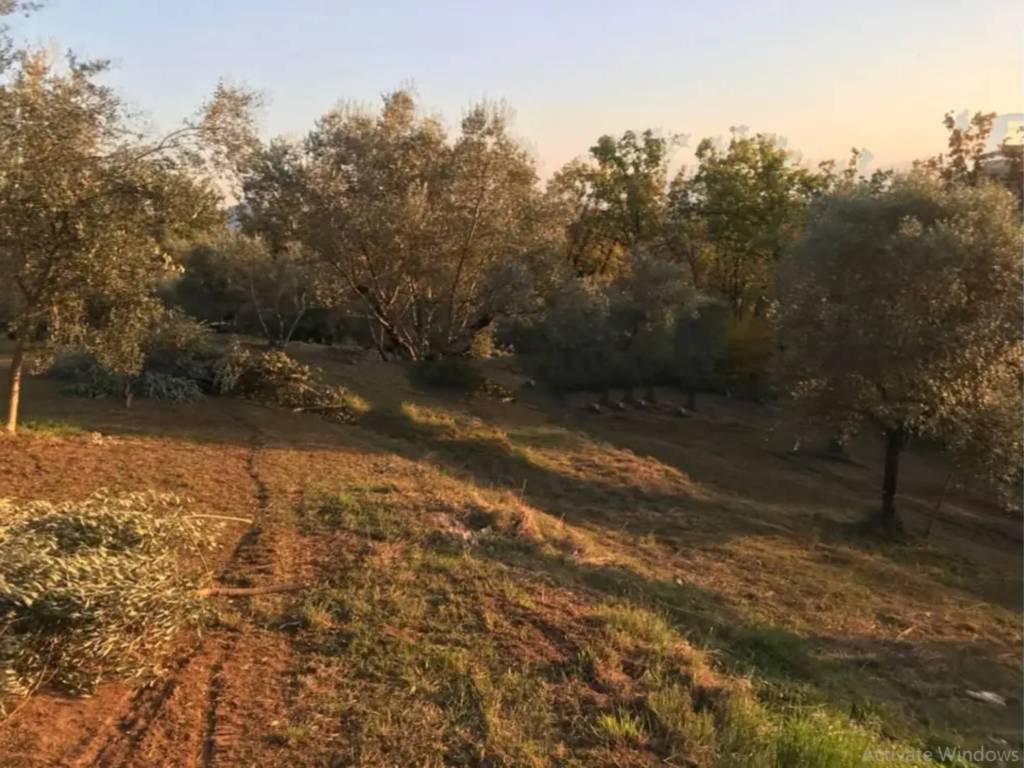 Appartamento a Monte san giovanni campano in Via Araietta - Foto 2