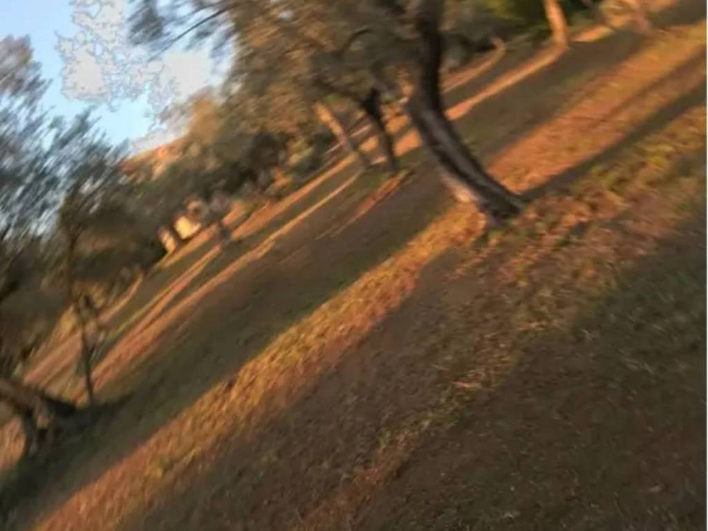 Appartamento a Monte san giovanni campano in Via Araietta - Foto 3