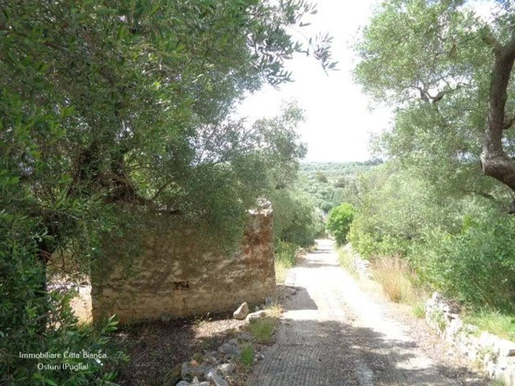 Rustico / casale a Ostuni in Contrada Badessa S.N.C. - Foto 2