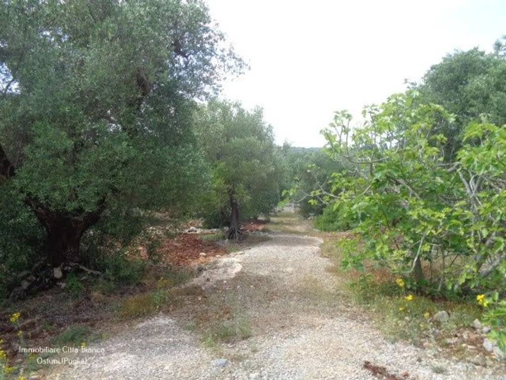 Rustico / casale a Ostuni in Contrada Badessa S.N.C. - Foto 3
