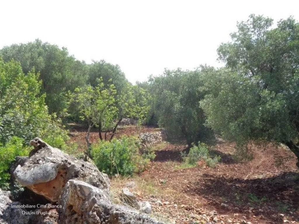 Rustico / casale a Ostuni in Contrada Badessa S.N.C. - Foto 4