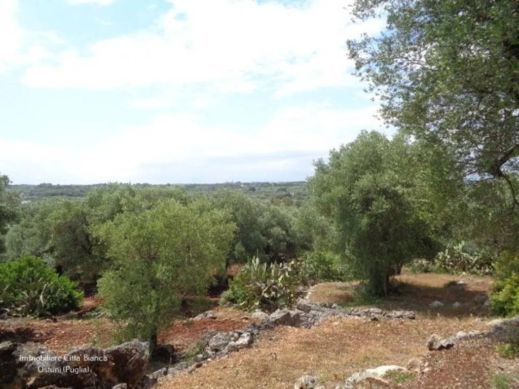 Rustico / casale a Ostuni in Contrada Badessa S.N.C. - Foto 5