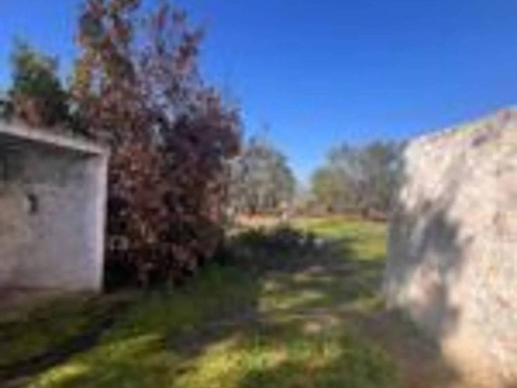 Rustico / casale a Ostuni in Ostuni S.N.C. - Foto 2