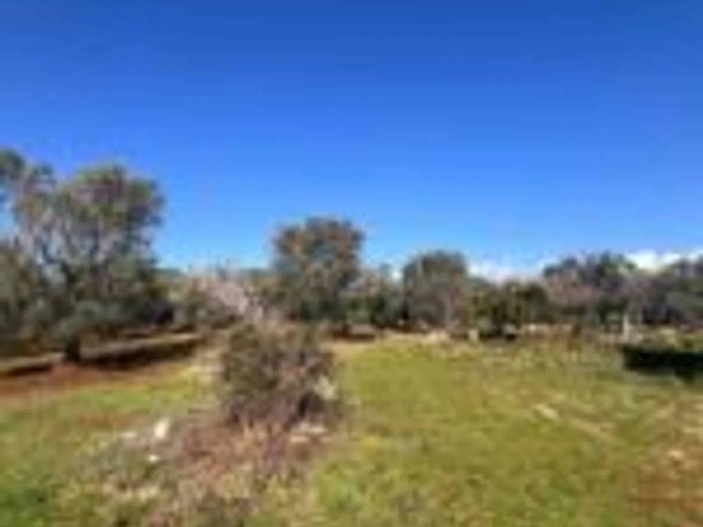 Rustico / casale a Ostuni in Ostuni S.N.C. - Foto 3