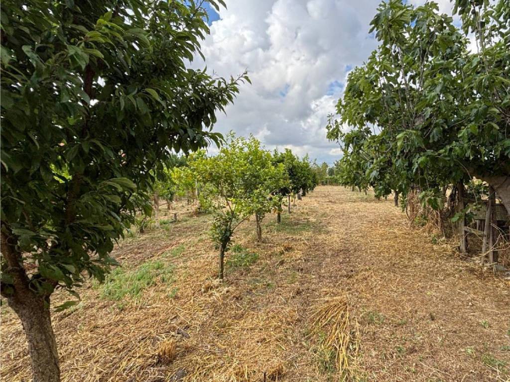 Villa a Capua in Via Brezza, 38 - Foto 2