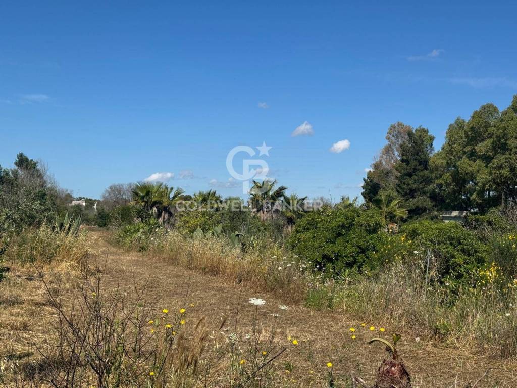 Terreno a Lecce in S.P. 364 - Foto 5