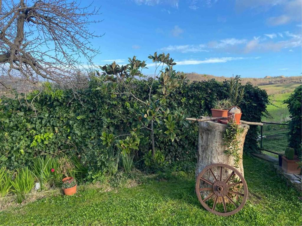 Rustico / casale a Magliano in toscana - Foto 2