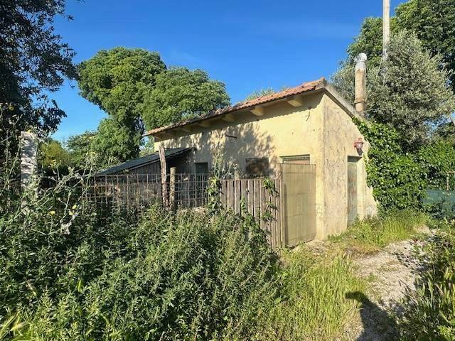 Terreno a Magliano in toscana - Foto 3