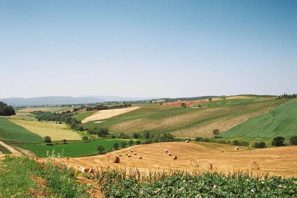 Rustico / casale a Magliano in toscana - Foto 5