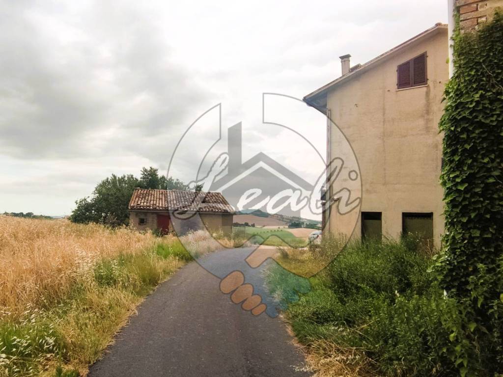 Rustico / casale a Pollenza in C.DA PALOMBARETTE - Foto 5
