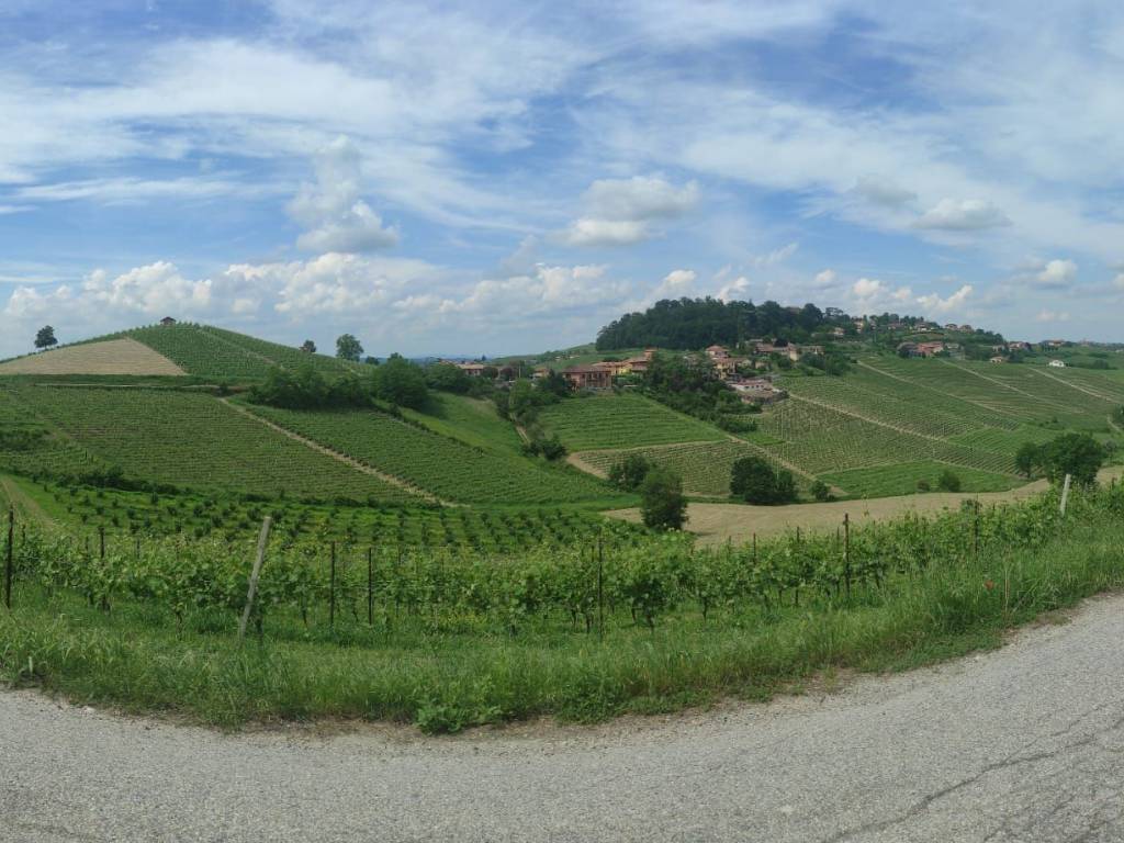 Terreno a Govone in Via Montaldo - Foto 4