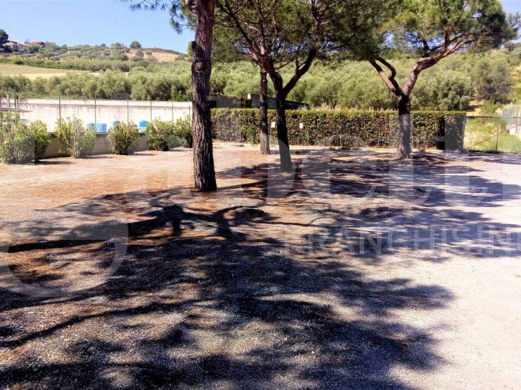 Immobile a Tortoreto in VIA NAZIONALE ADRIATICA, 13 - Foto 3