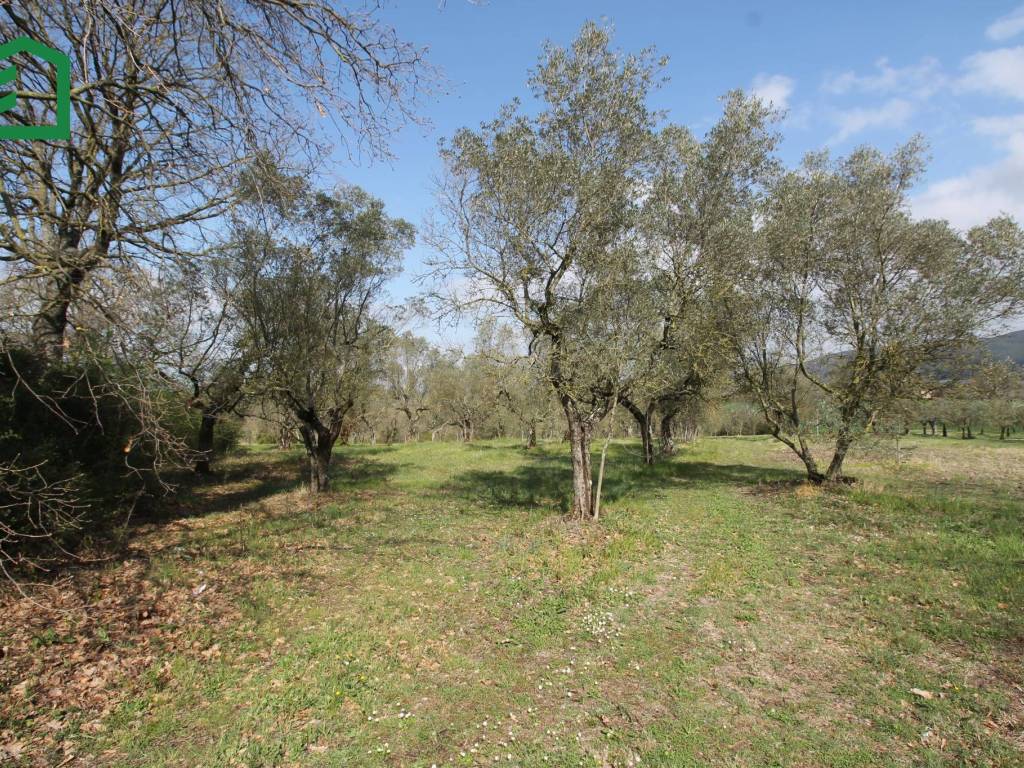 Immobile a Amelia in Piazza 3 Novembre - Foto 4