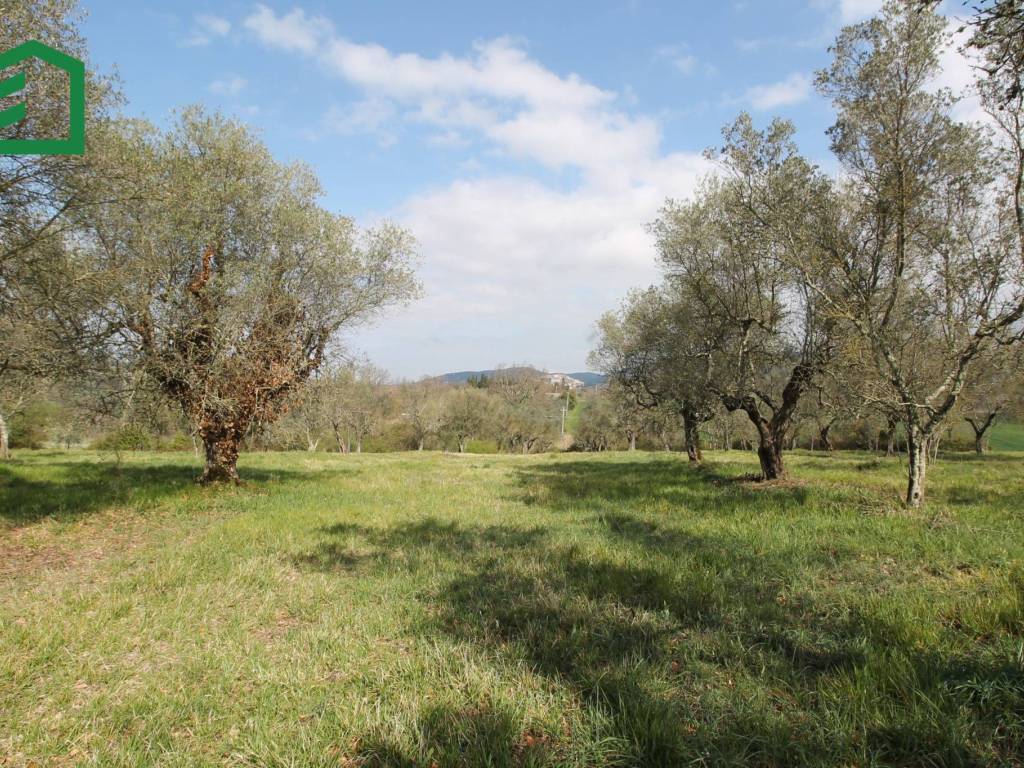 Immobile a Amelia in Piazza 3 Novembre - Foto 5