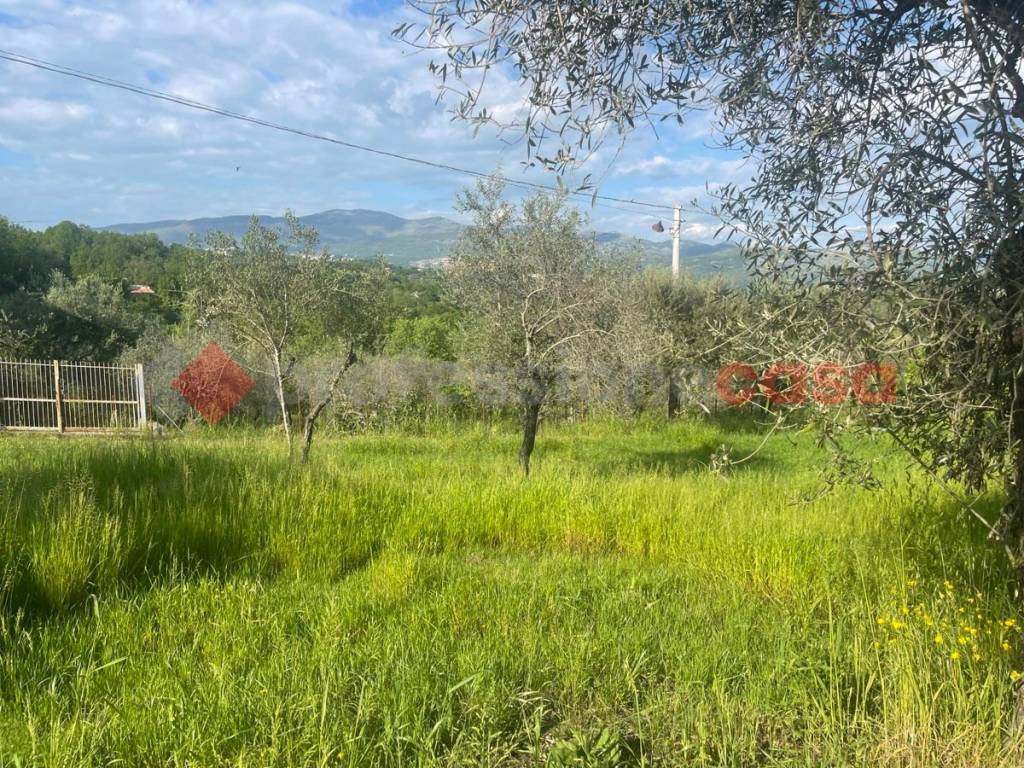 Terreno a Minturno in Via Cadorna - Foto 5