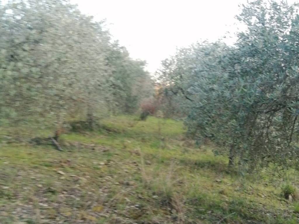 Terreno a Subbiano - Foto 2