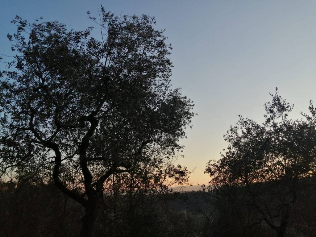 Terreno a Subbiano - Foto 3