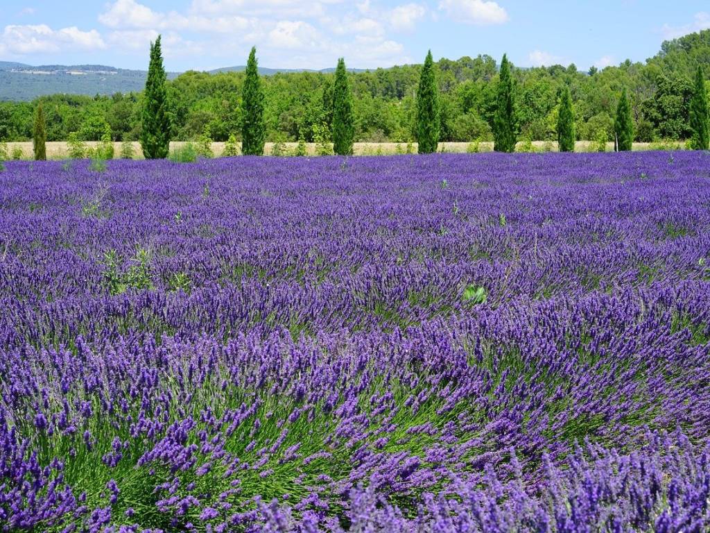 Terreno a Assisi in Via del Monte Subasio - Foto 4