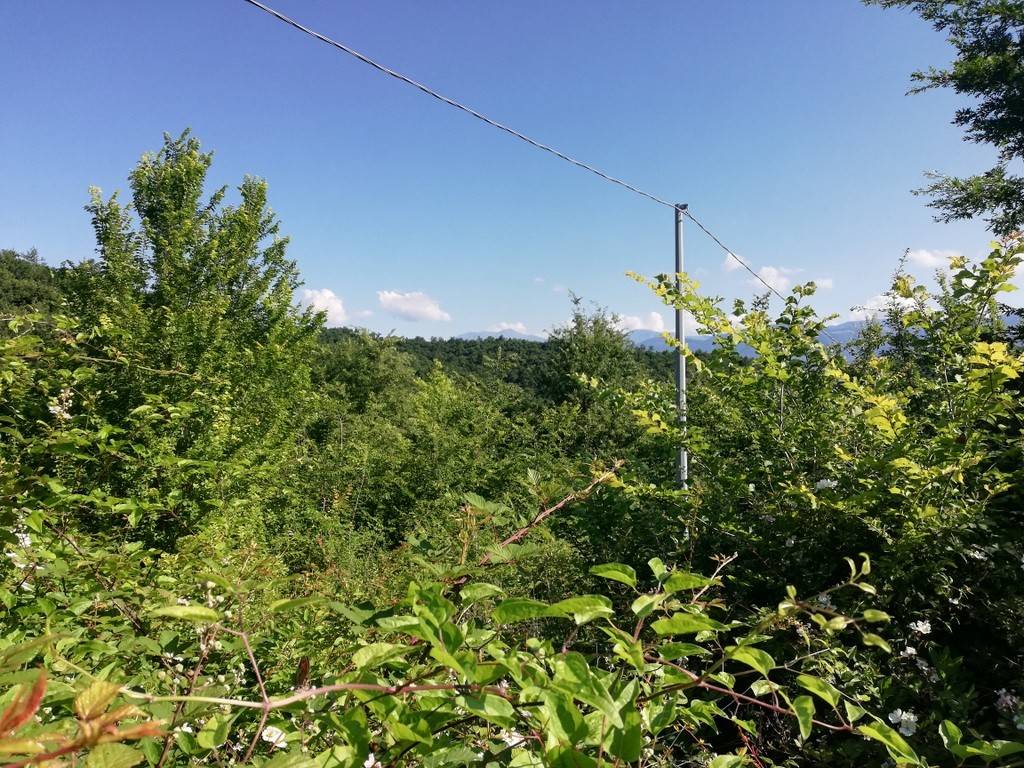 Terreno a Ruviano in Via Scoccilli - Foto 4