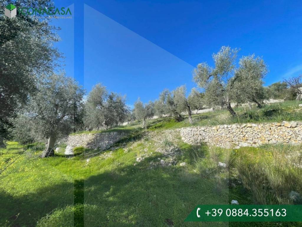 Rustico / casale a Vieste in Strada Vicinale Masoliana - Foto 5