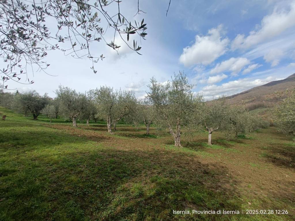 Terreno a Isernia in Via Acqua Solfurea, 3 - Foto 2