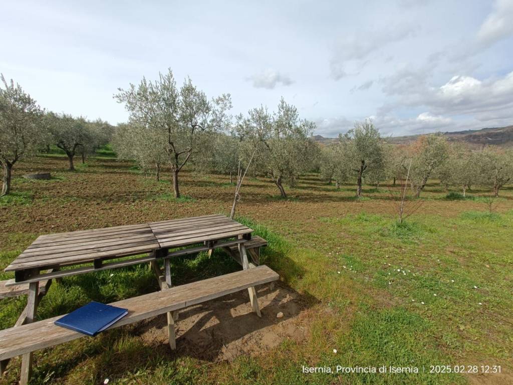 Terreno a Isernia in Via Acqua Solfurea, 3 - Foto 3