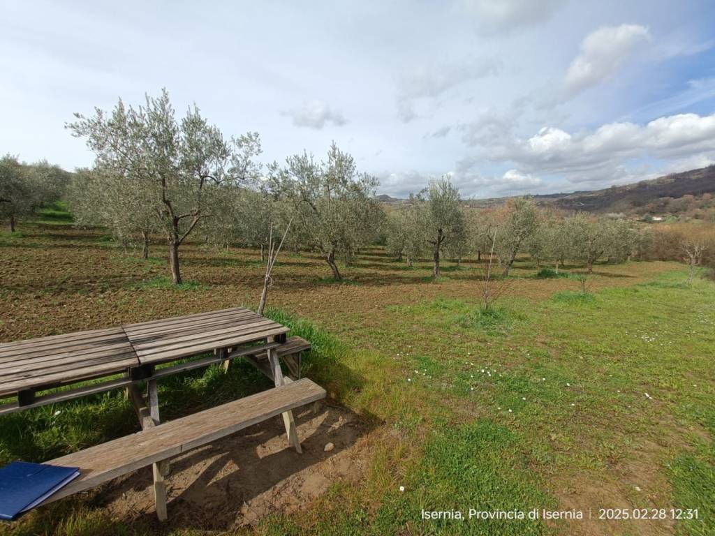 Terreno a Isernia in Via Acqua Solfurea, 3 - Foto 4