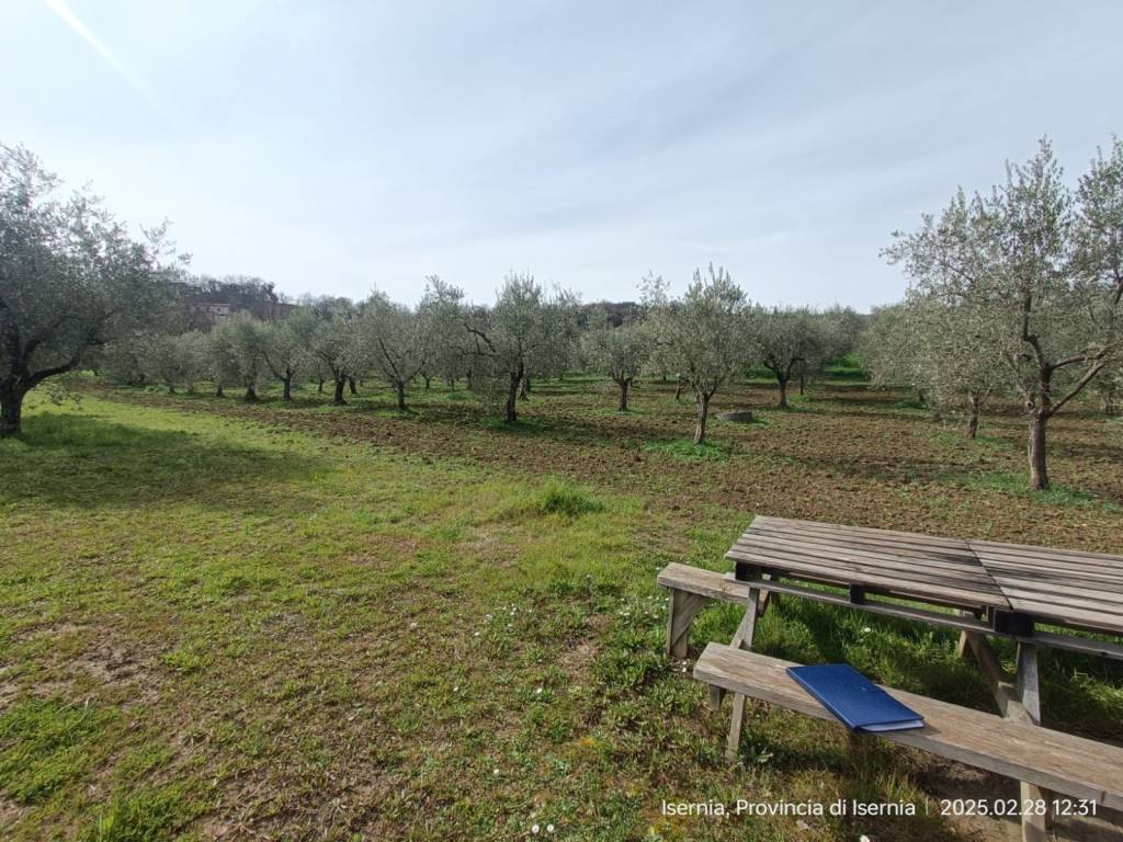 Terreno a Isernia in Via Acqua Solfurea, 3 - Foto 5